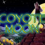 Coyote Moon AVP Slots